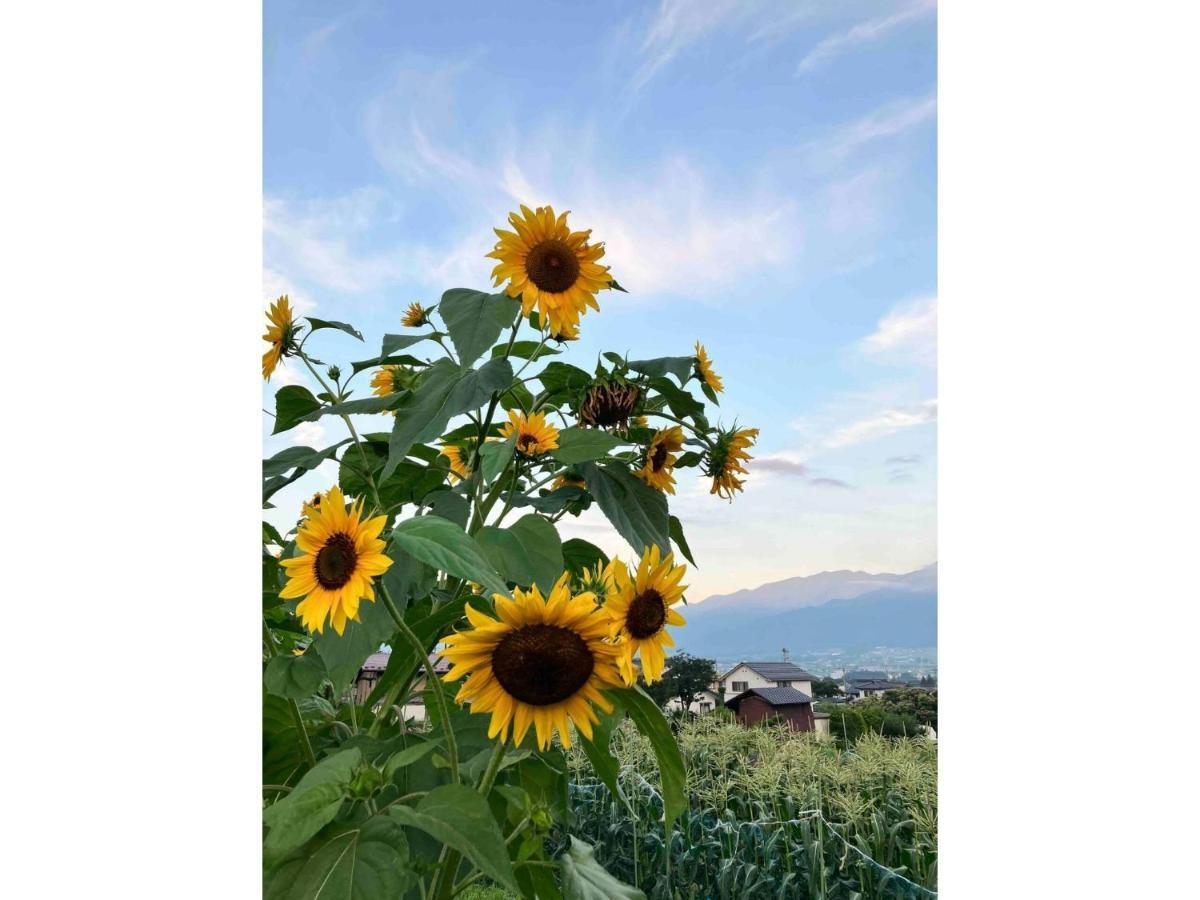 Longhillsecoguesthouse&Cafe - Vacation Stay 24885V Ome Eksteriør bilde